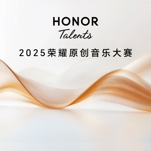 中部赛区 一等奖（1名）