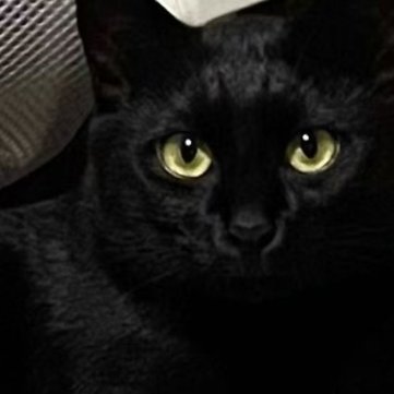 南部赛区 三等奖（3名）3