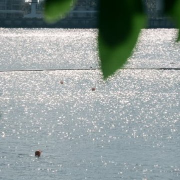 南部赛区 优秀奖1