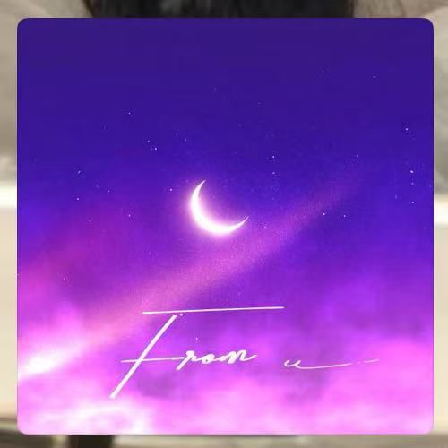 南部赛区 二等奖（1名） 1